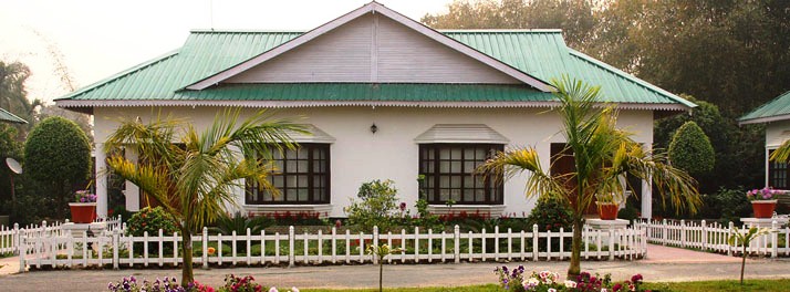 767/United-21 Grassland - Kaziranga National Park 06.jpg